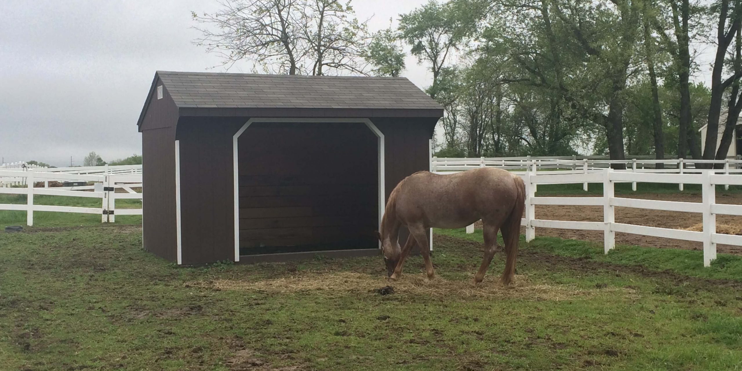 Amish barns for horses