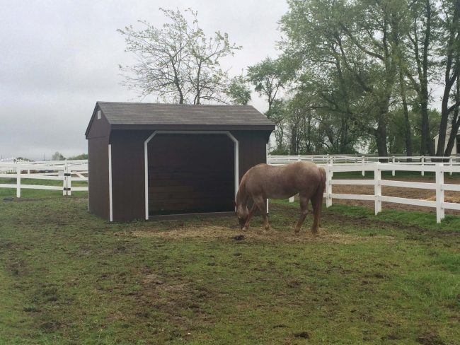 Amish barns for horses